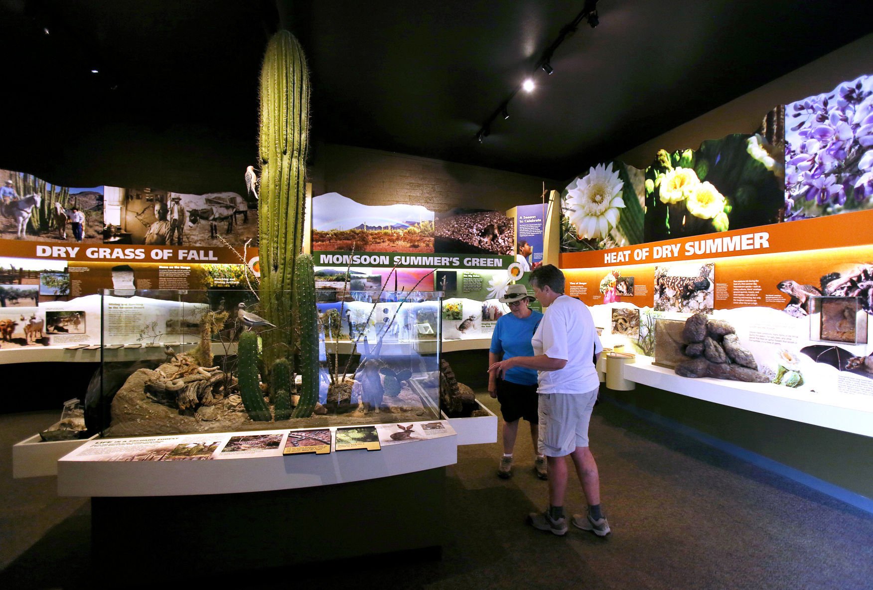 Organ Pipe National Monument